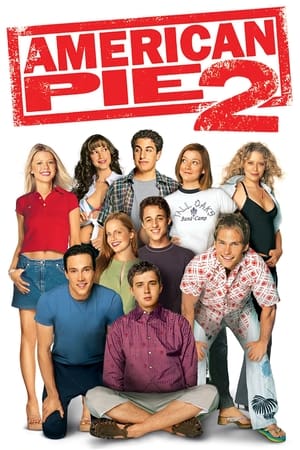 American Pie 2 (2001) Hindi Dual Audio 720p BluRay [990MB]