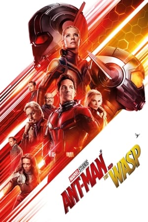 Ant Man and the Wasp (2018) Hindi Dual Audio 480p BluRay 350MB