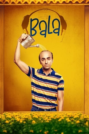 Bala 2019 Hindi Movie 720p HDRip x264 [1GB]