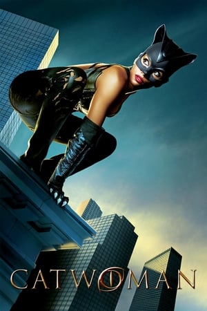 Catwoman (2004) Hindi Dual Audio 480p BDRip 400MB