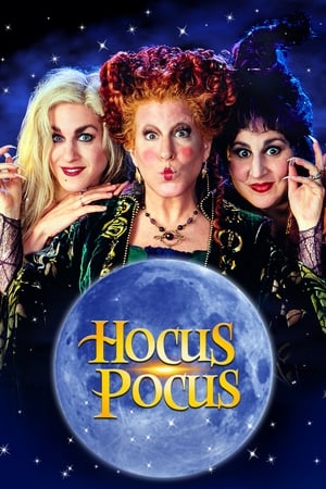 Hocus Pocus 1993 Hindi Dual Audio 480p BluRay 320MB