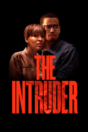 The Intruder (2019) Hindi Dual Audio 480p HDRip 350MB