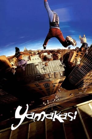 Yamakasi 2001 Hindi Dual Audio 720p BluRay [980MB]